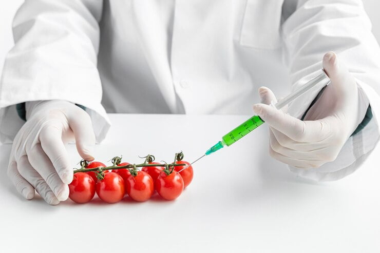 تشخیص GMO در محصولات غذایی