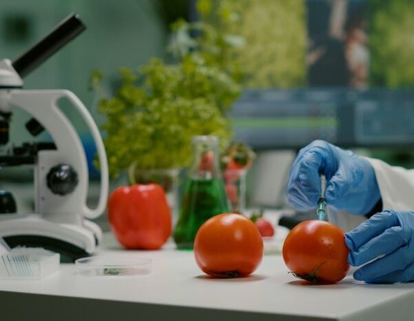 closeup-chemist-scientist-injecting-organic-tomato-with-pesticides-gmo-test_482257-2125