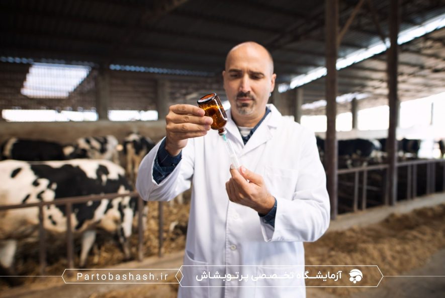 ارزیابی ویتامین‌ها و مواد معدنی در مکمل‌های دامی با HPLC و ICP-OES در میز کار