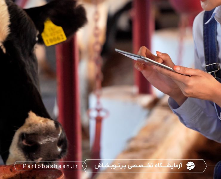 common-isiri-standards-animal-feed-testing-microbial-culture استانداردهای ISIRI در کشت میکروبی و شمارش کلونی خوراک دام