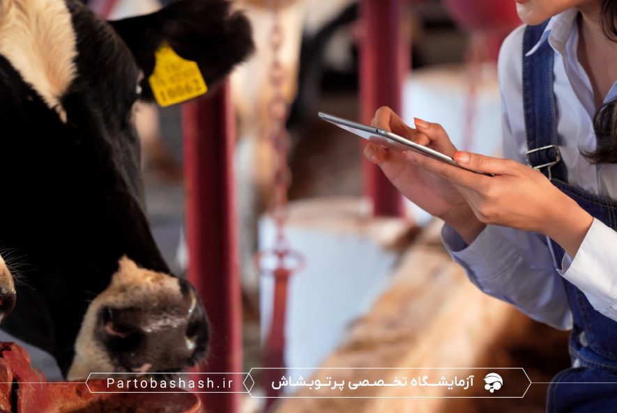 استانداردهای ISIRI در کشت میکروبی و شمارش کلونی خوراک دام