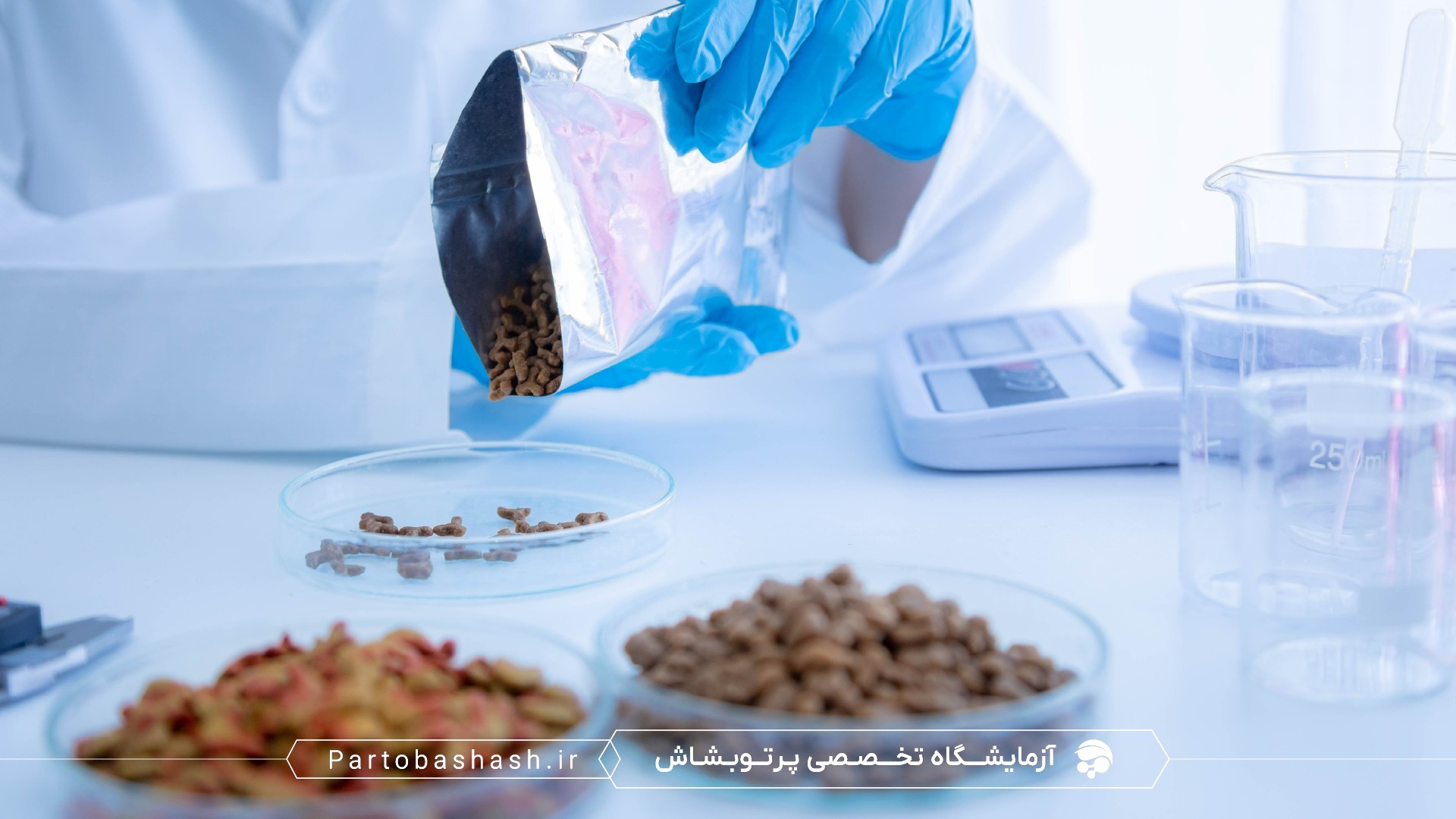 استانداردهای ISIRI و استفاده از دستگاه qPCR در آزمایش خوراک دام