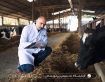 راهنمای جامع آزمایش میکروبی خوراک دام و طیور: از نمونه‌برداری تا تفسیر نتایج