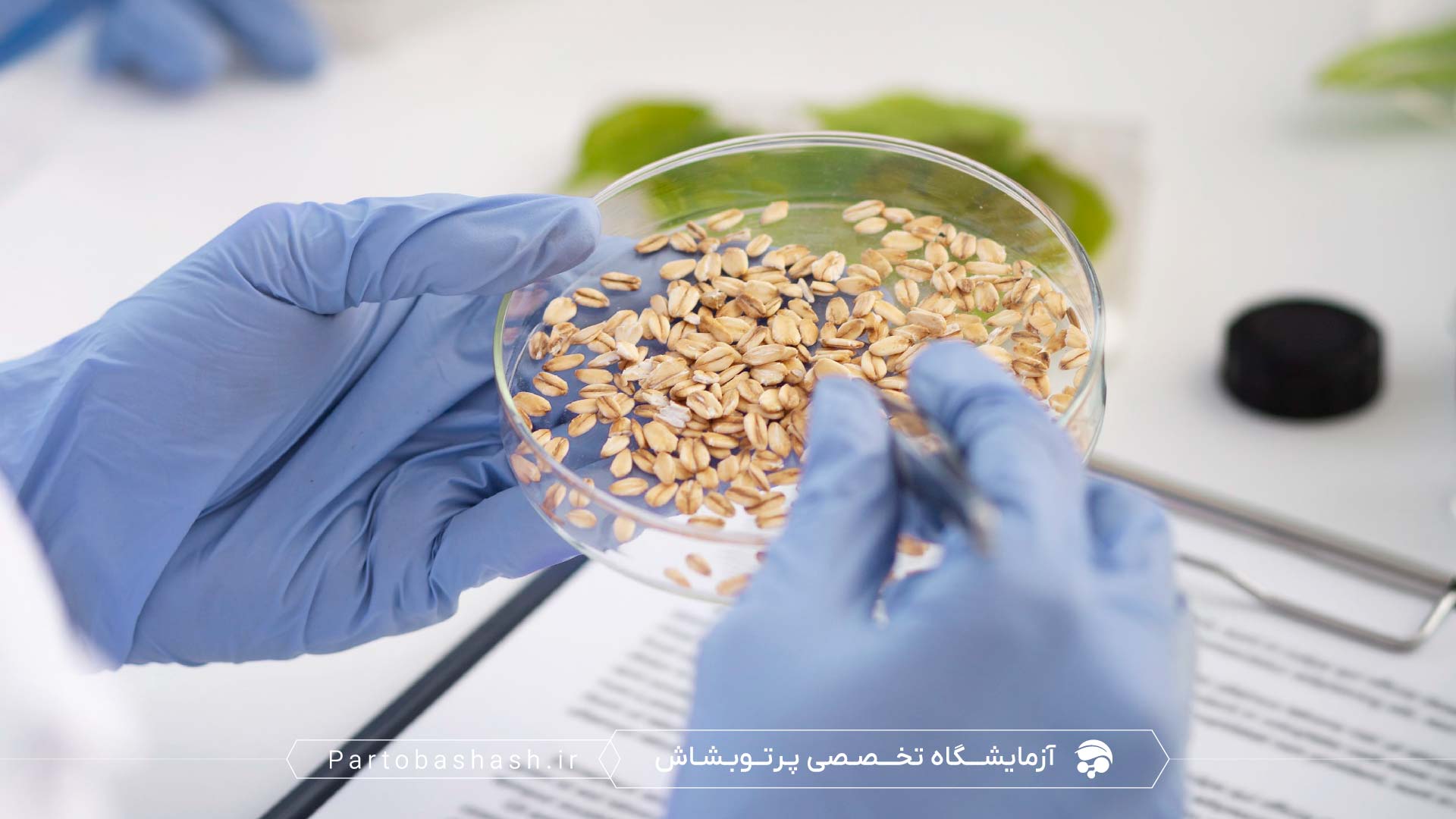 راهنمای جامع آزمایش میکروبی خوراک دام و طیور با فناوری qPCR و استخراج DNA
