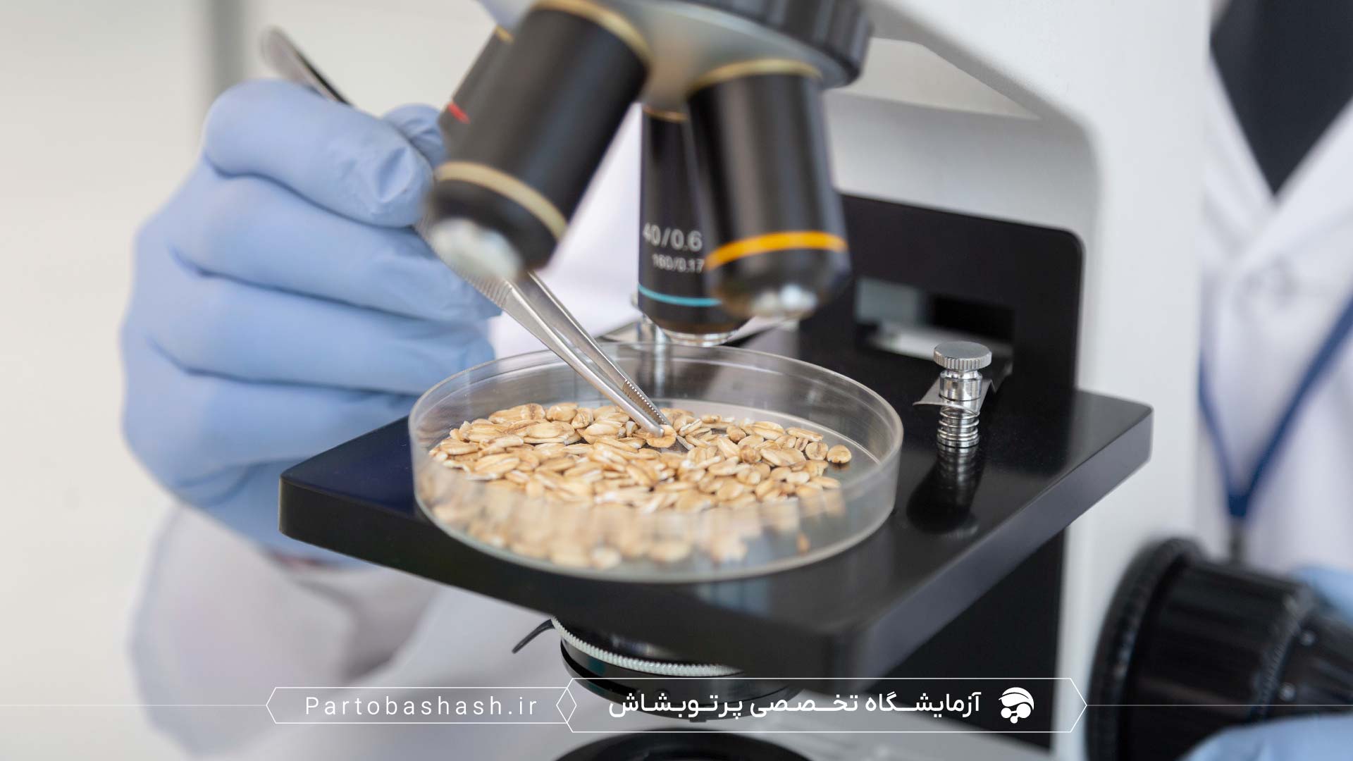 راهنمای جامع آزمایش میکروبی خوراک دام و طیور شامل میزکار استریل و نمونه‌برداری خوراک