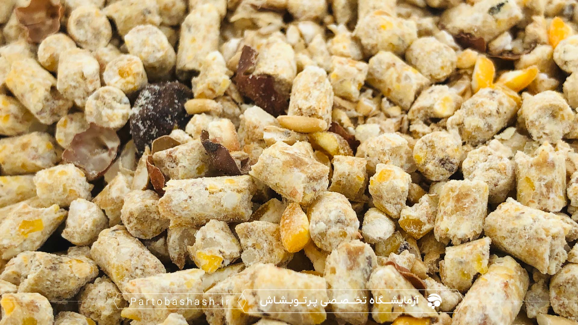 پایش افلاتوکسین‌ها در خوراک دام مرتبط با نقش کپک و مخمر