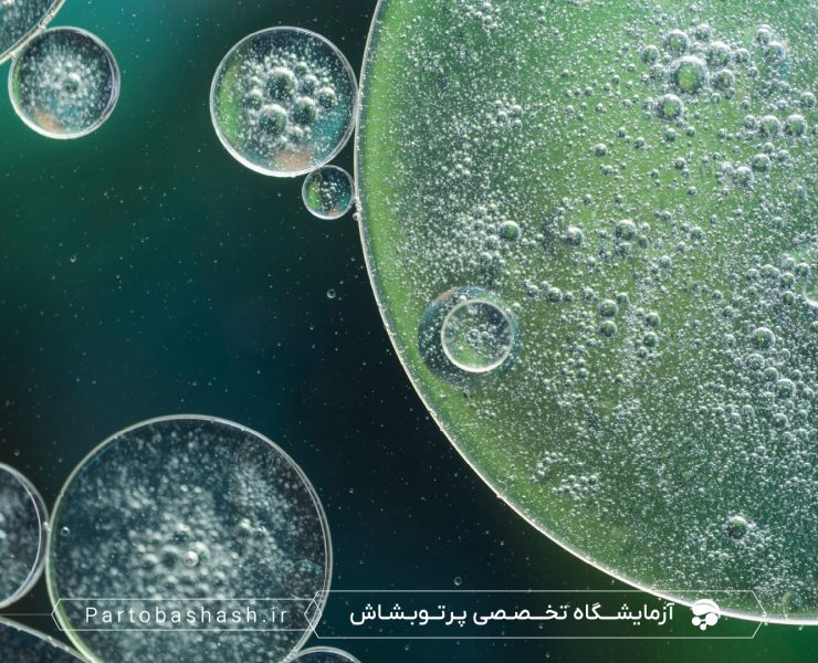 چک‌لیست کیفیت کنجاله سویا با کشت میکروبی و شمارش کلونی‌ها