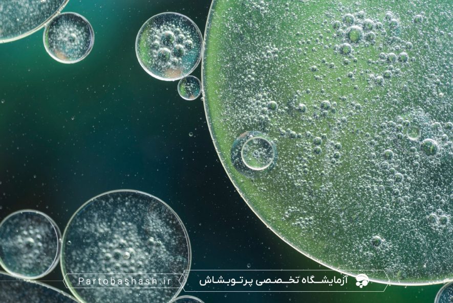 چک‌لیست کیفیت کنجاله سویا با کشت میکروبی و شمارش کلونی‌ها