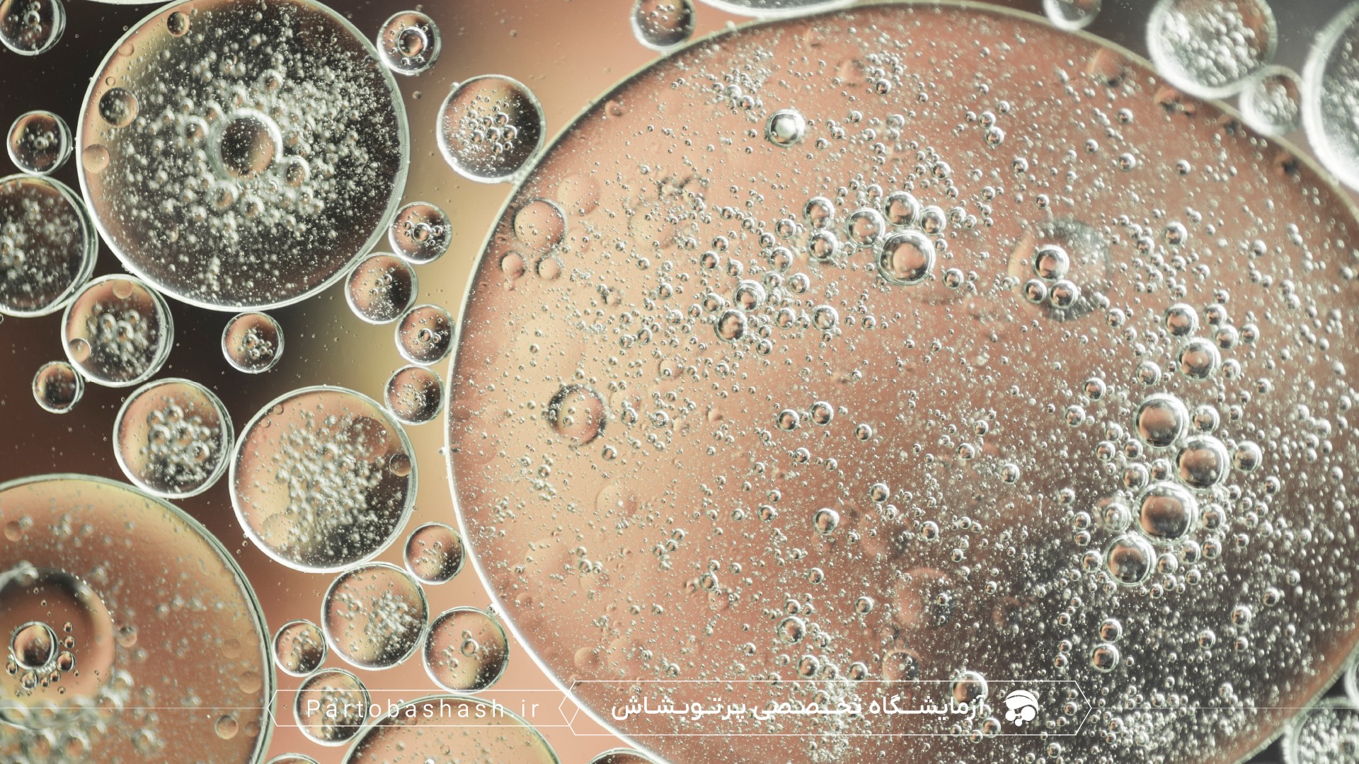 چک‌لیست کیفیت کنجاله سویا با استخراج DNA و محیط qPCR