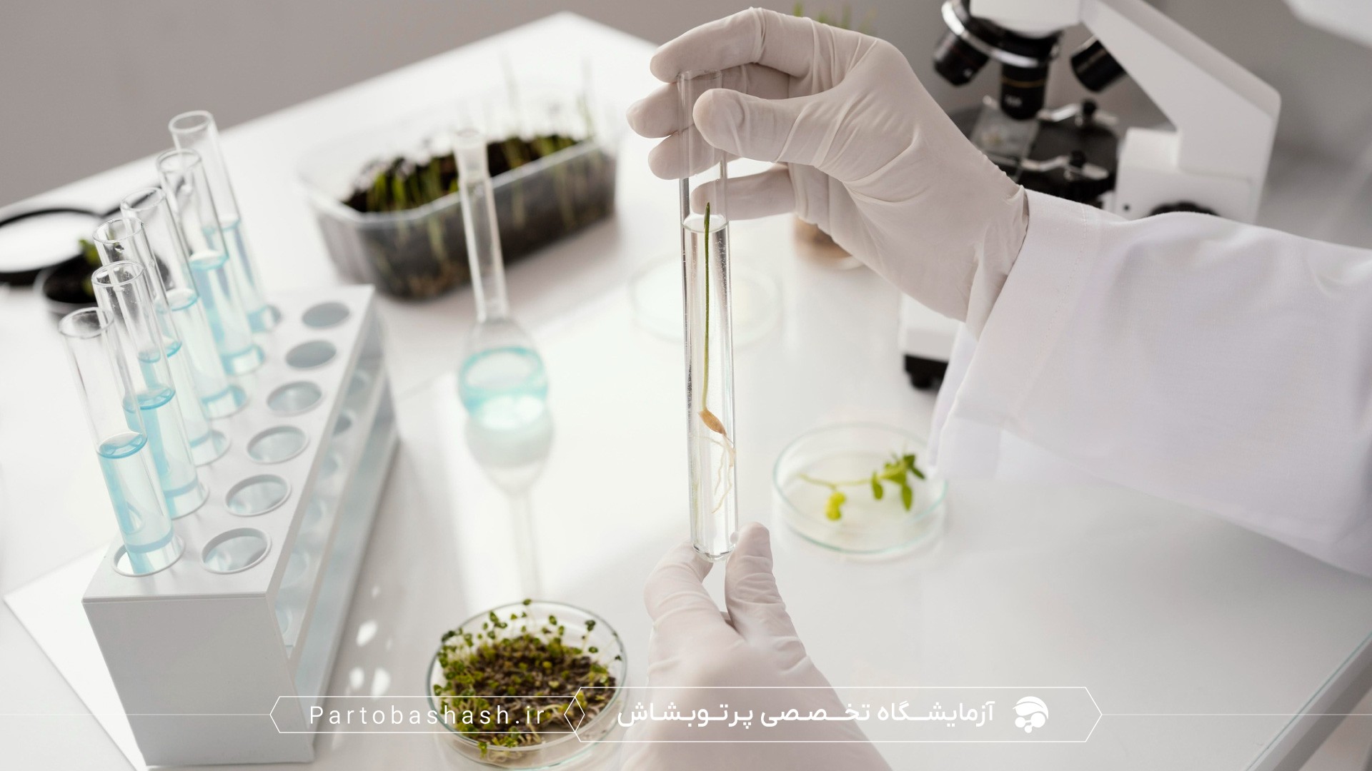 بررسی آنتی‌بیوتیک‌های باقیمانده در محصولات دامی با روش HPLC