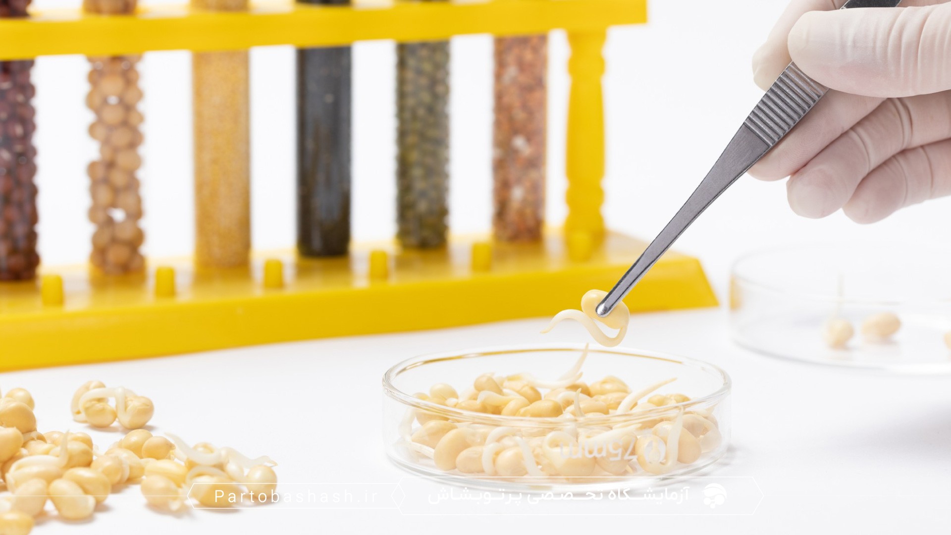 کنترل کیفیت محصولات دامی و پایش آنتی‌بیوتیک‌ها در نمونه شیر