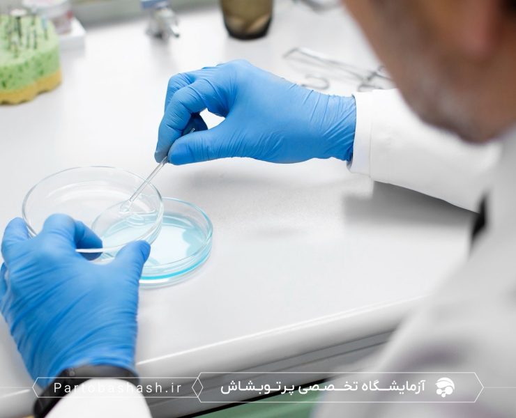 کشت میکروبی و شمارش کلونی مخمرهای اسموفیلیک در بستنی