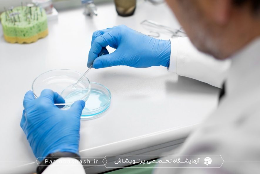 کشت میکروبی و شمارش کلونی مخمرهای اسموفیلیک در بستنی