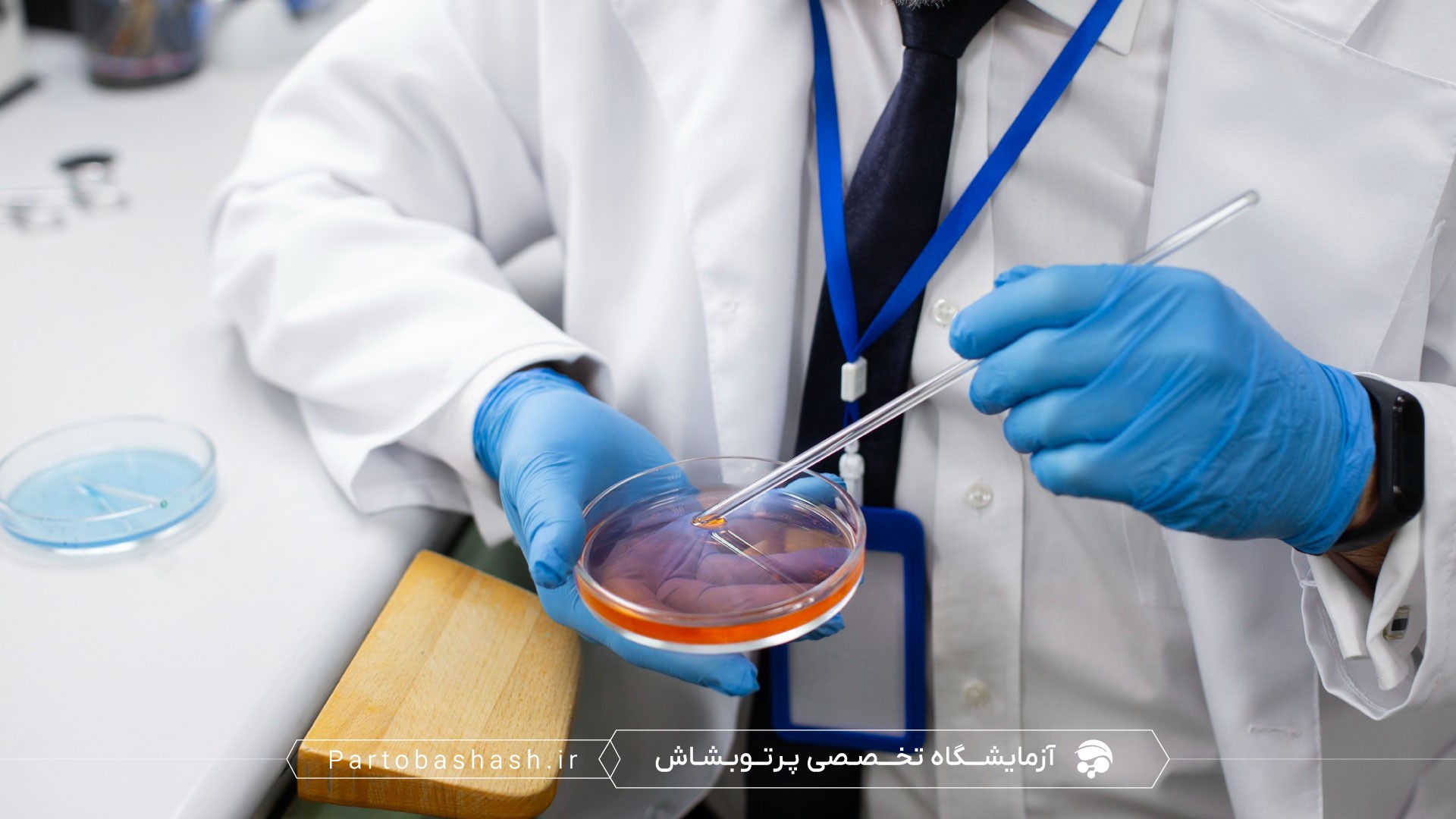 اعتباردهی روش‌ها در کنترل کیفیت خوراک دام با استفاده از ایستگاه کار qPCR و استخراج DNA