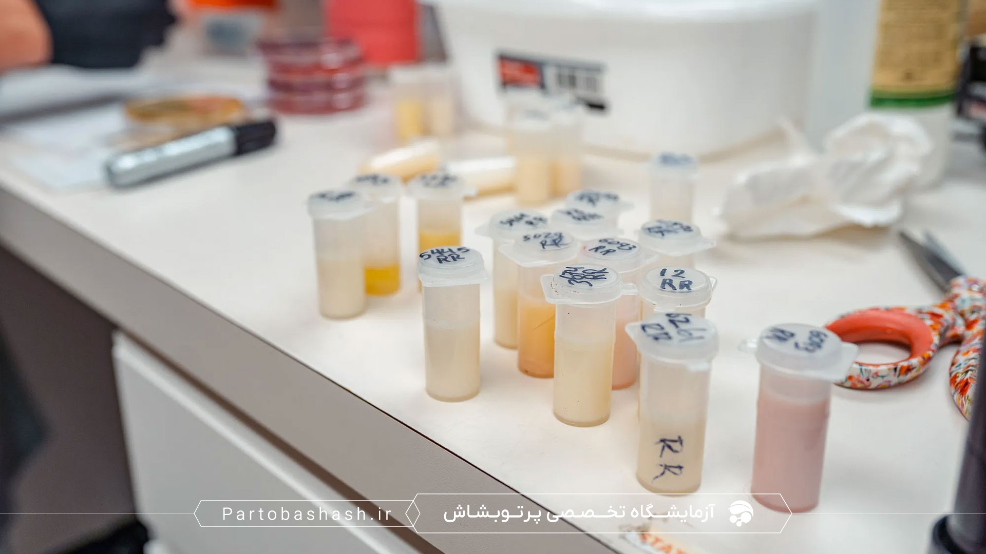 بررسی تقلبات لبنی با کنترل کیفیت و آنالیز نمونه شیر