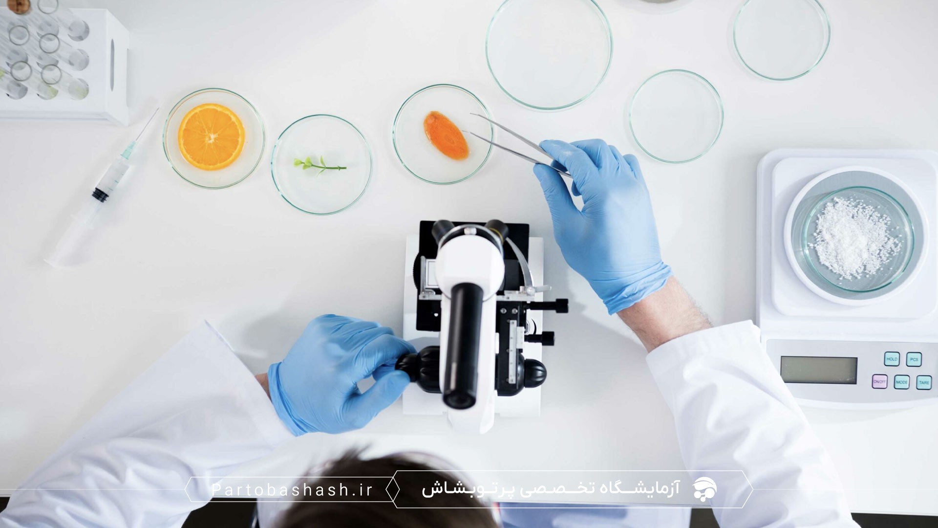 مهاجرت فلزات از بستهبندی به مواد غذایی با استخراج RNA و qPCR